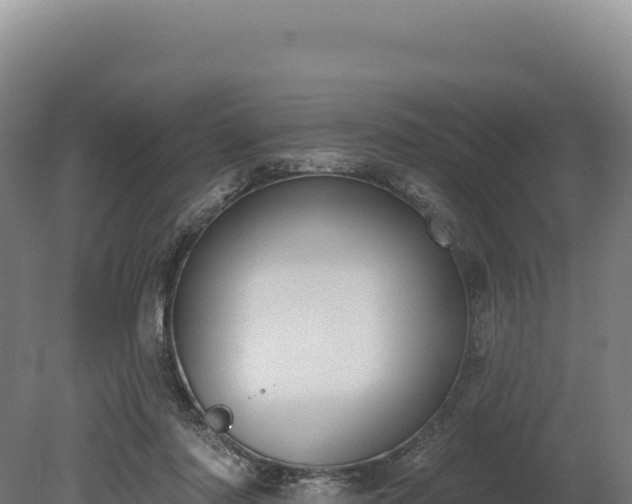 X0000080150310200612151837