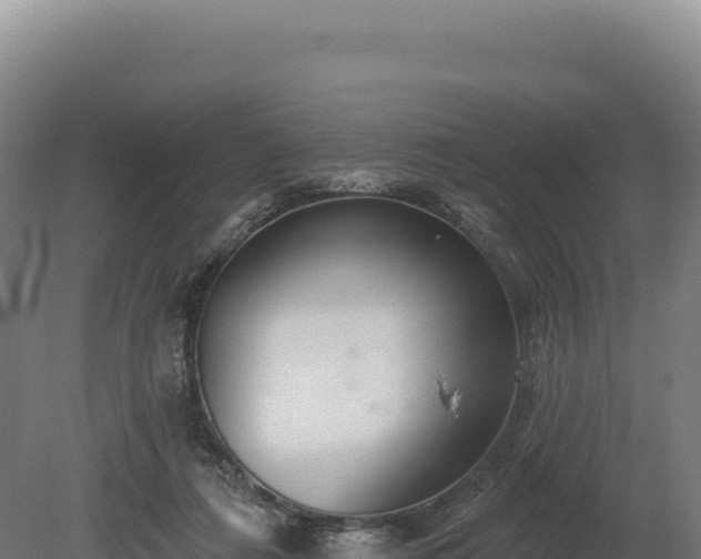 X0000080150312200612151837