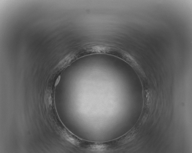 X0000080150313200612151837