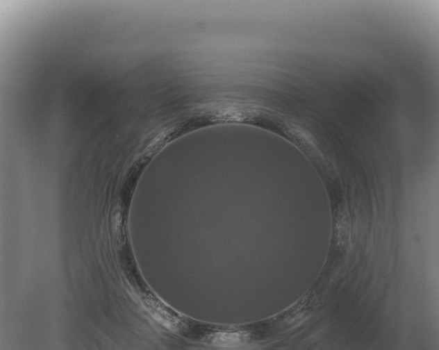 X0000080150314200612151837