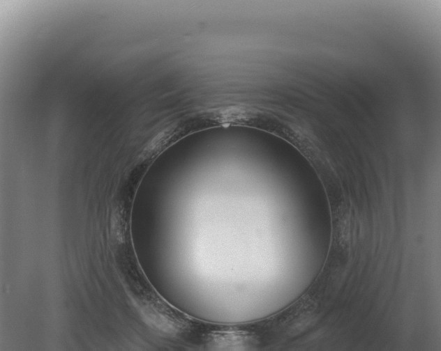 X0000080150316200612151837