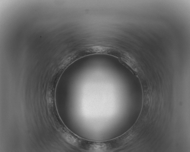 X0000080150317200612151837