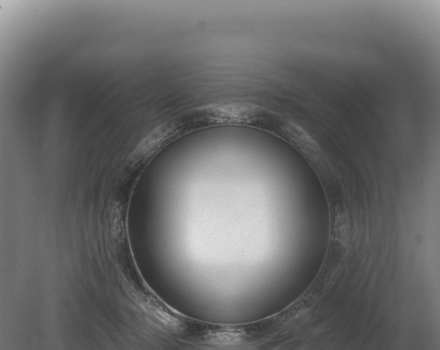 X0000080150318200612151837