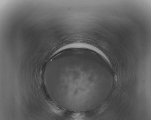 X0000080150319200612151837