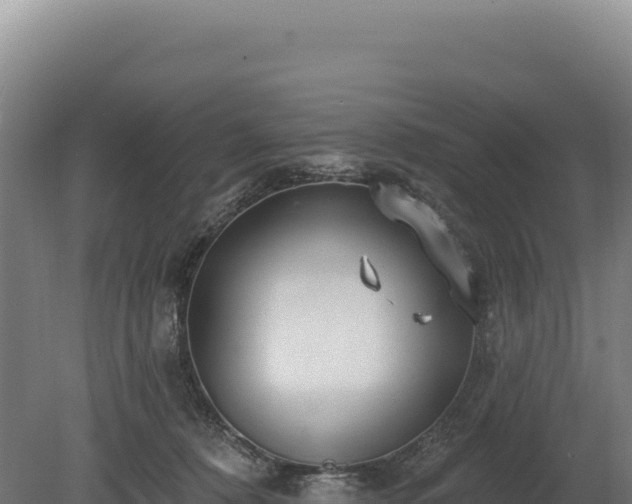 X0000080150320200612151837