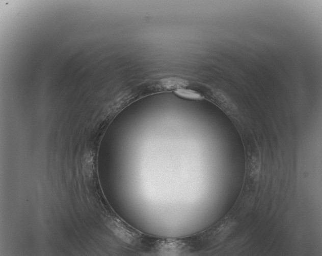 X0000080150321200612151837