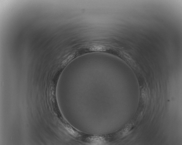 X0000080150322200612151837