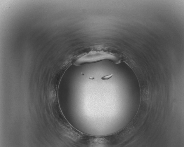 X0000080150324200612151837