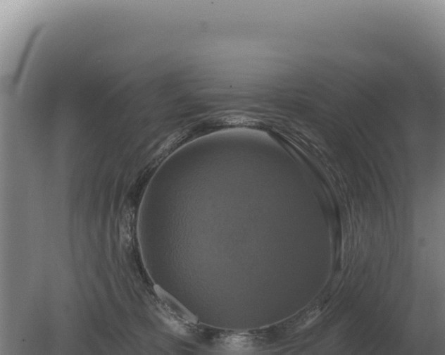 X0000080150325200612151837