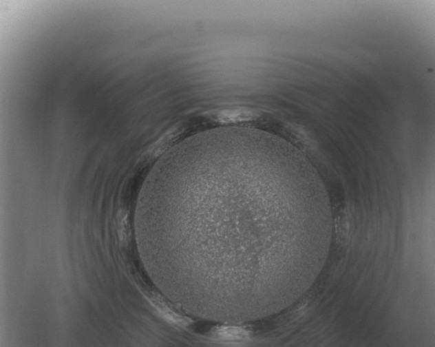 X0000080150327200612151837