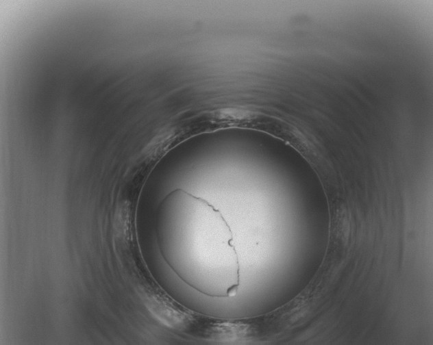 X0000080150328200612151837