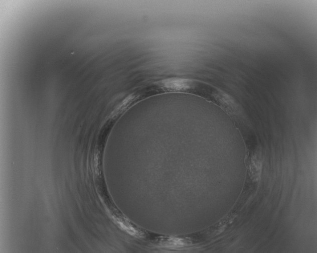 X0000080150330200612151837