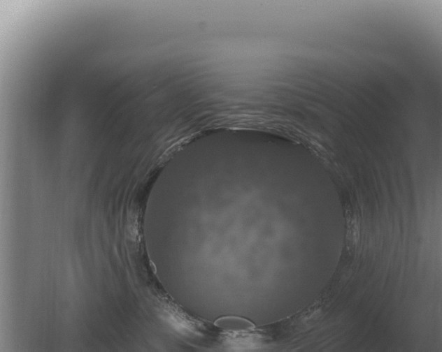 X0000080150331200612151836