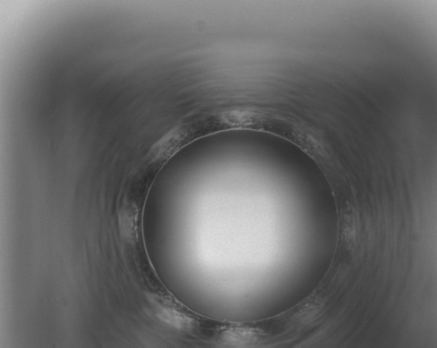 X0000080150332200612151836