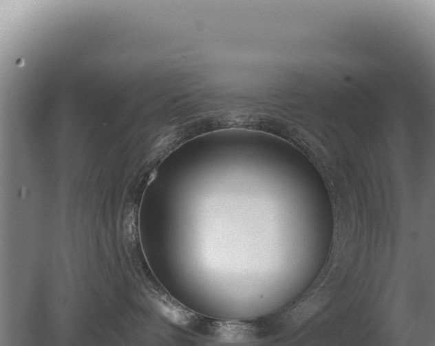 X0000080150336200612151836