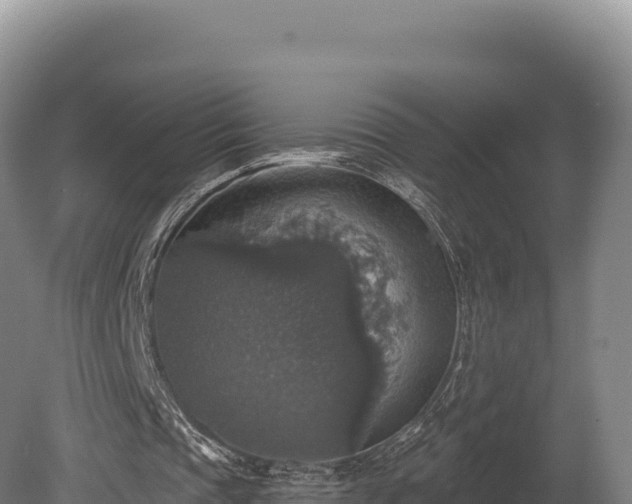 X0000080150337200612151836