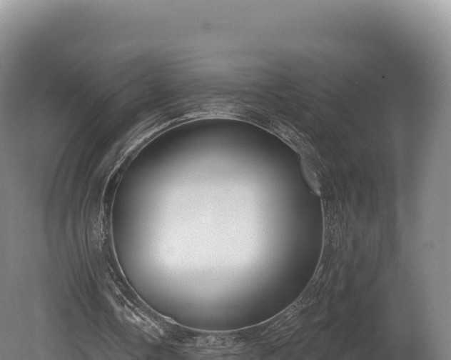 X0000080150338200612151836