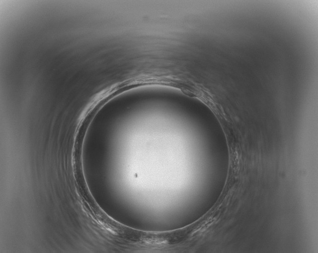 X0000080150340200612151836