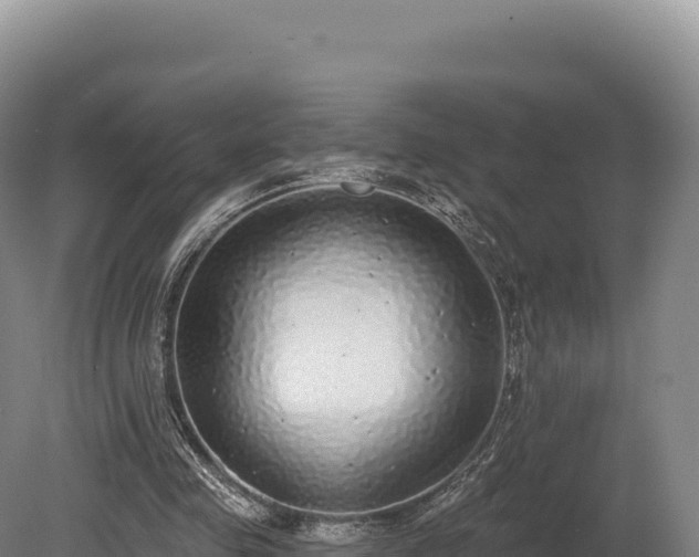 X0000080150341200612151836