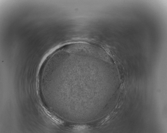 X0000080150342200612151836