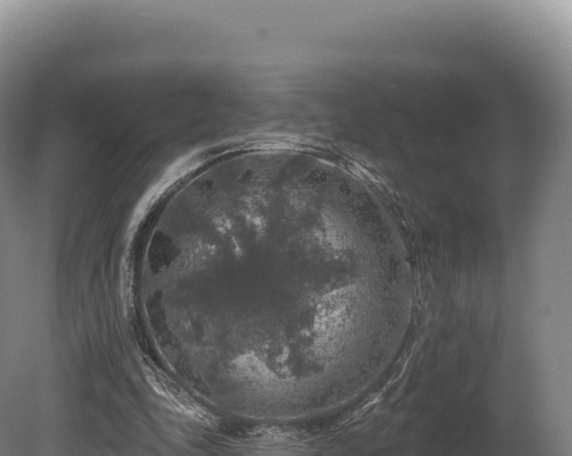 X0000080150343200612151836