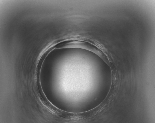 X0000080150344200612151836