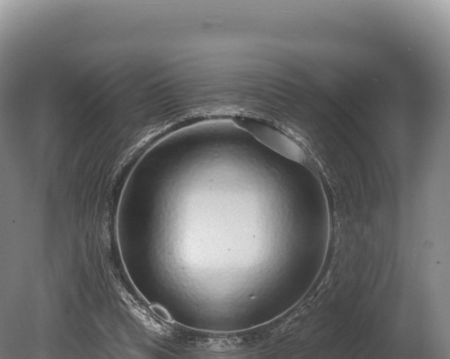 X0000080150345200612151836