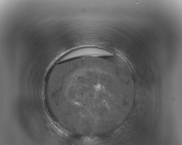 X0000080150346200612151836