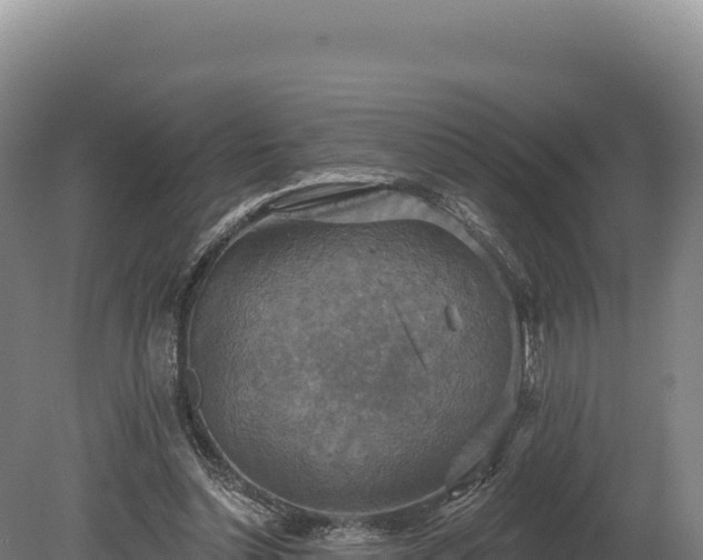 X0000080150348200612151836