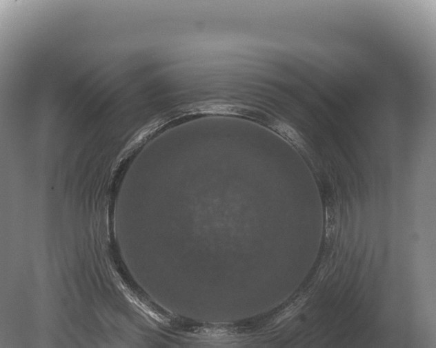 X0000080150349200612151836