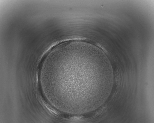 X0000080150350200612151836