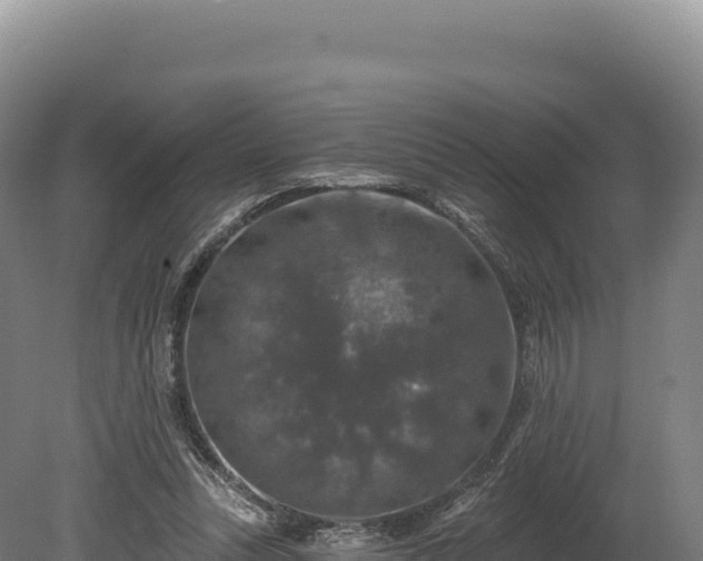 X0000080150351200612151836