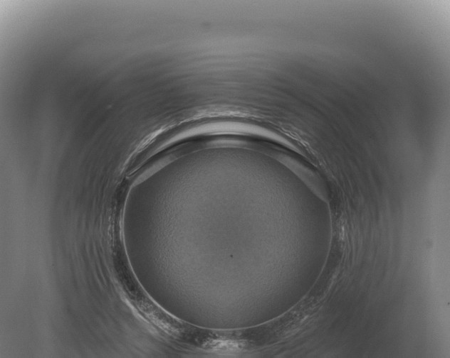 X0000080150352200612151836