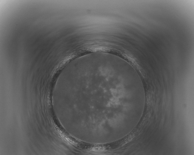 X0000080150353200612151836