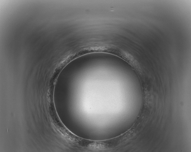 X0000080150354200612151836