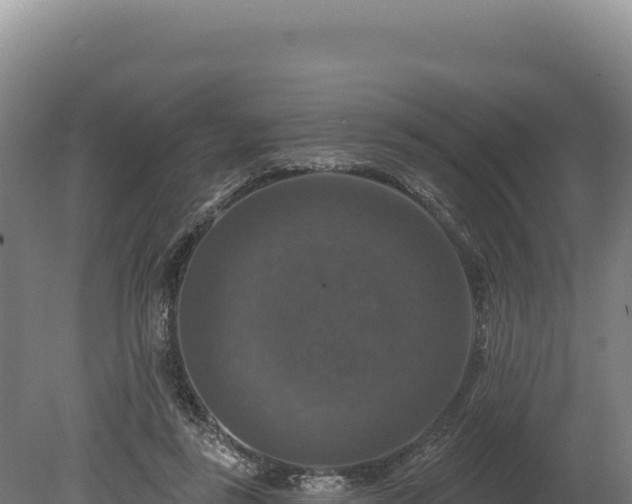 X0000080150355200612151836