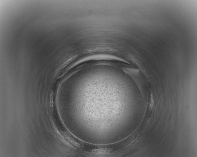 X0000080150356200612151836