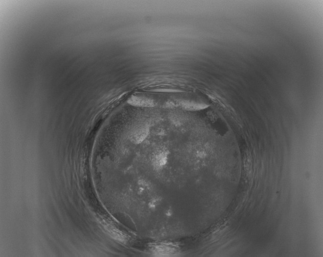 X0000080150359200612151836