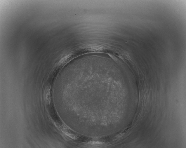 X0000080150360200612151836