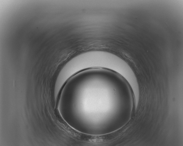 X0000080150362200612151836