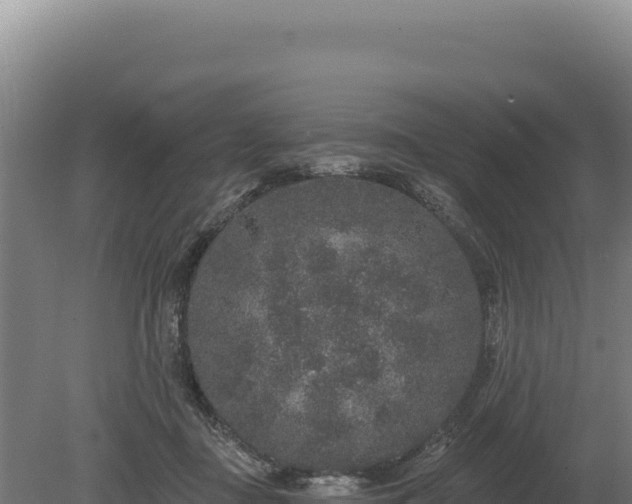 X0000080150363200612151836