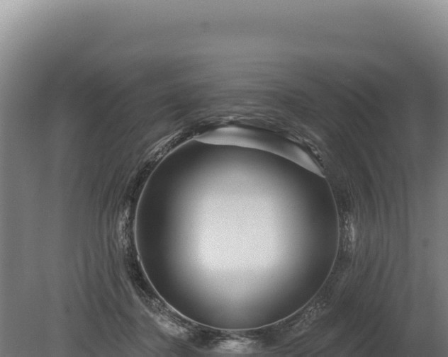 X0000080150364200612151836