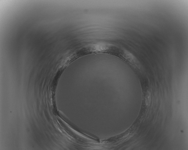 X0000080150366200612151836