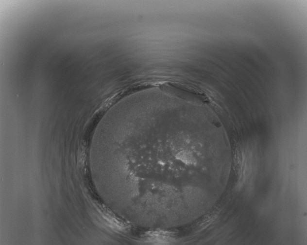 X0000080150367200612151836