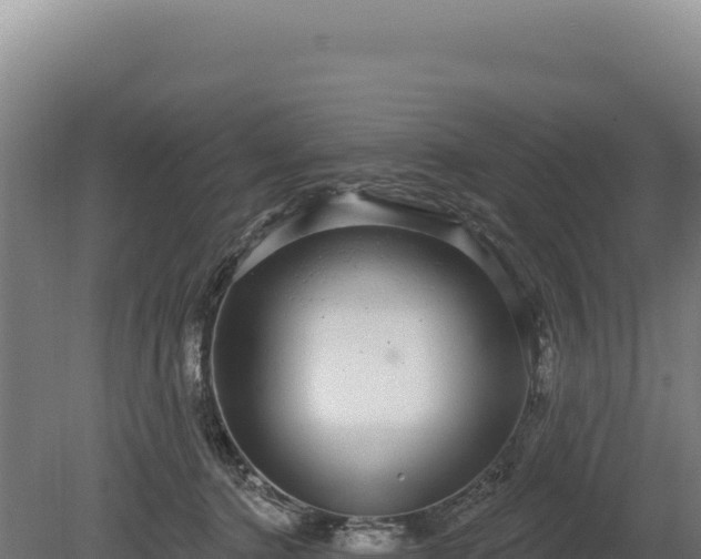 X0000080150368200612151836