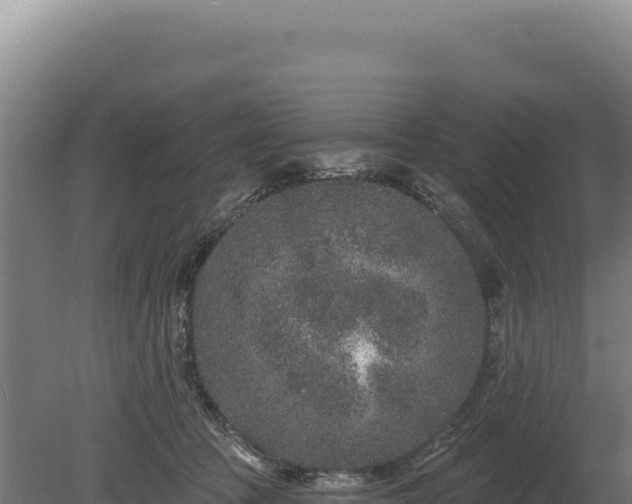 X0000080150369200612151836