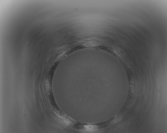 X0000080150371200612151836