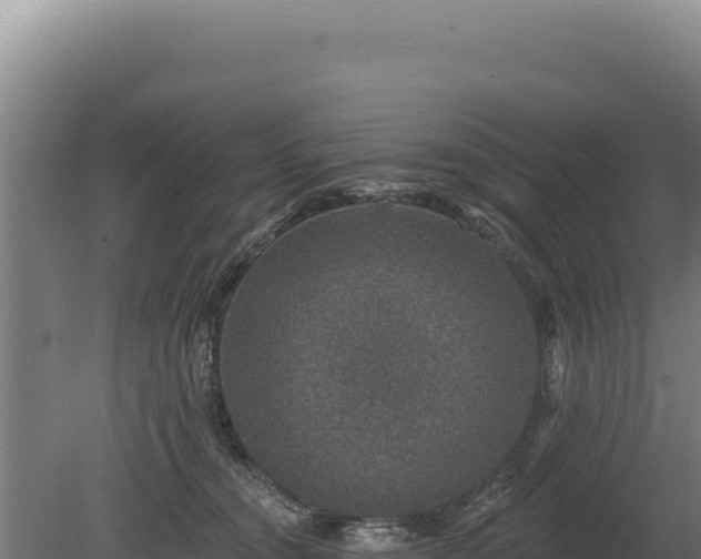 X0000080150372200612151836