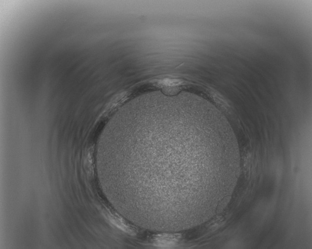 X0000080150373200612151836