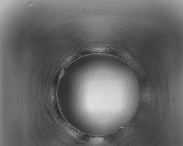 X0000080150374200612151836